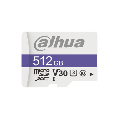 DHI-TF-C100/512GB
